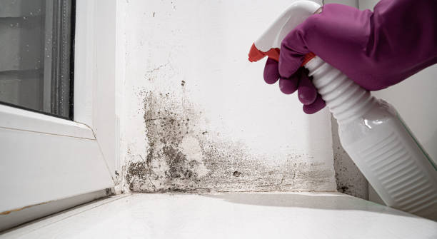 Best Commercial water damage restoration  in Una, WA